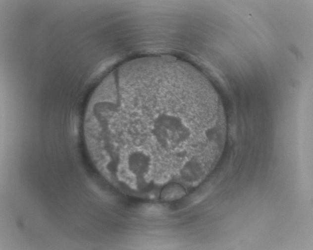 X0000115320115200911231359