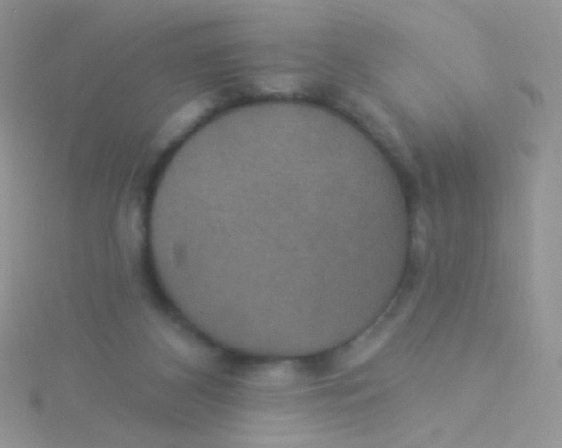 X0000115320116200911231359