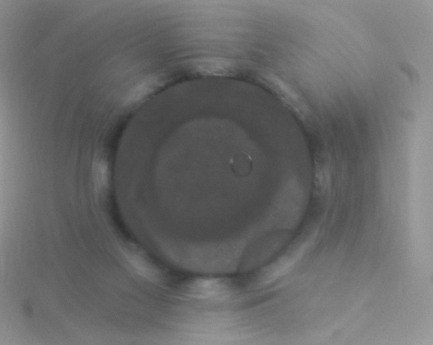 X0000115320117200911231359