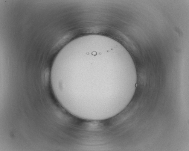 X0000115320118200911231359