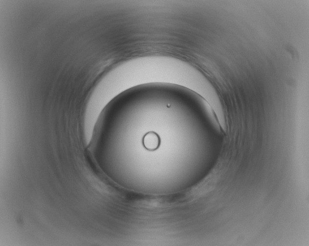 X0000115320120200911231359