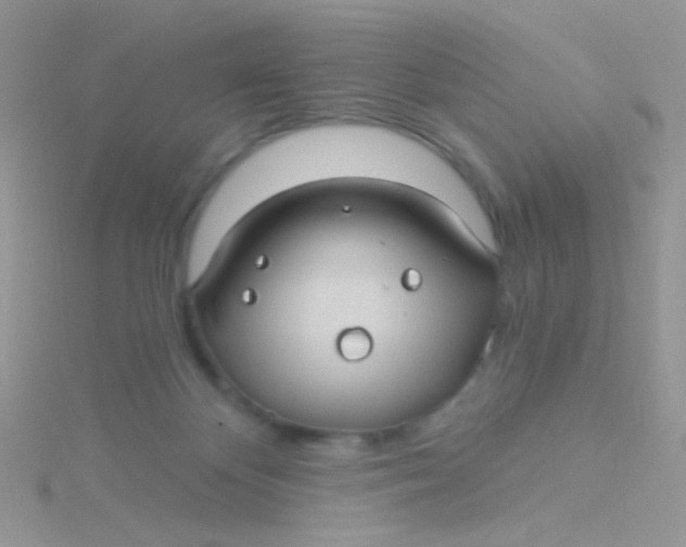 X0000115320124200911231359