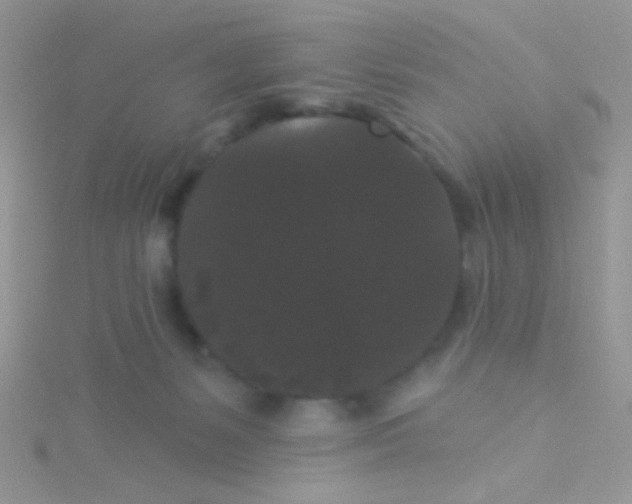 X0000115320127200911231359