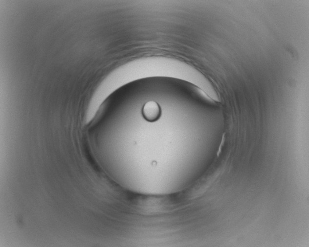 X0000115320129200911231359