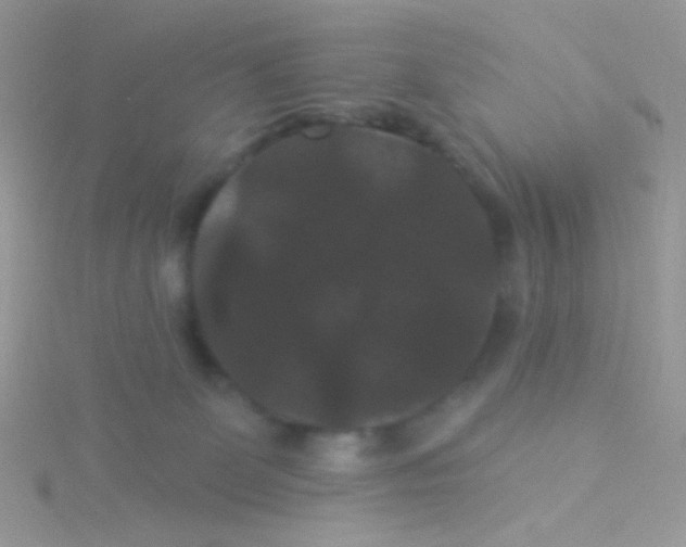 X0000115320131200911231358