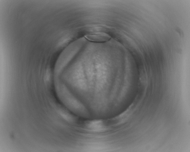 X0000115320132200911231358