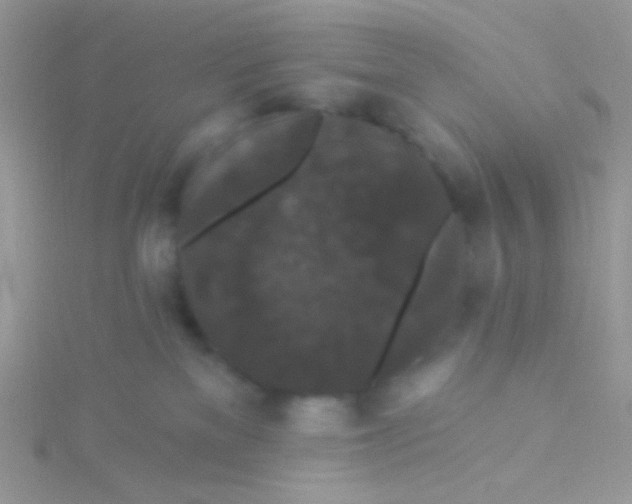 X0000115320137200911231358