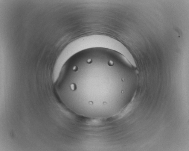 X0000115320140200911231358