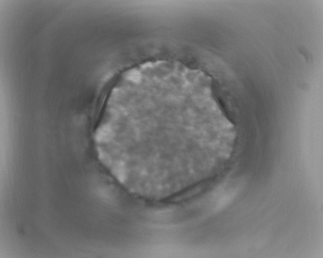 X0000115320144200911231358