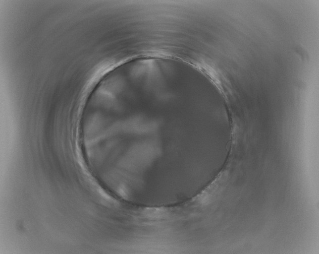 X0000115320145200911231358