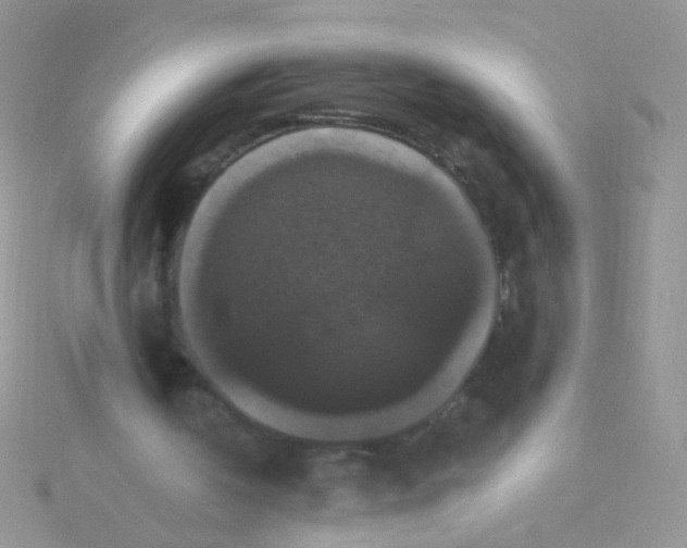 X0000115320146200911231358