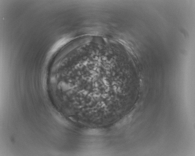 X0000115320149200911231358