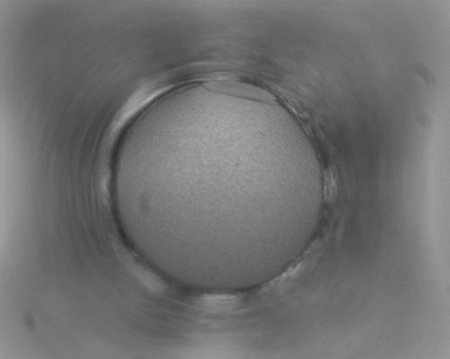 X0000115320150200911231358