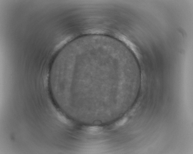 X0000115320153200911231358