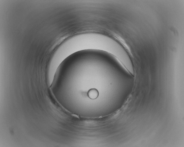 X0000115320154200911231358