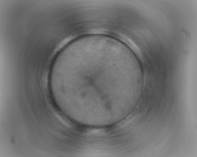 X0000115320155200911231358