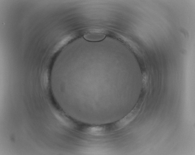 X0000115320158200911231358