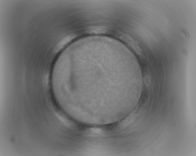 X0000115320159200911231358