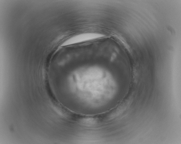 X0000115320161200911231358