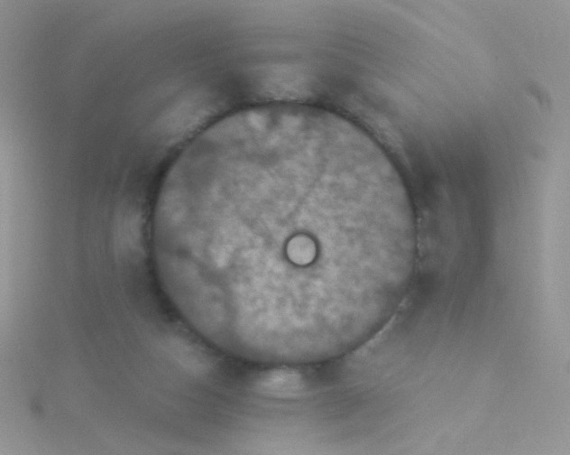 X0000115320162200911231358