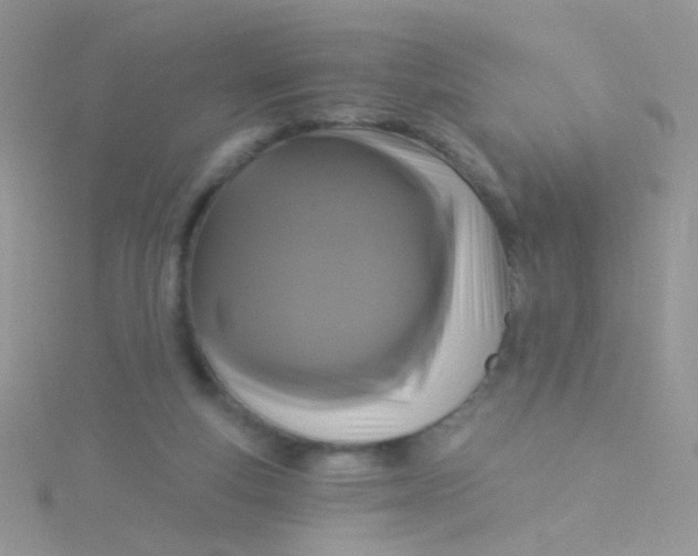 X0000115320163200911231358