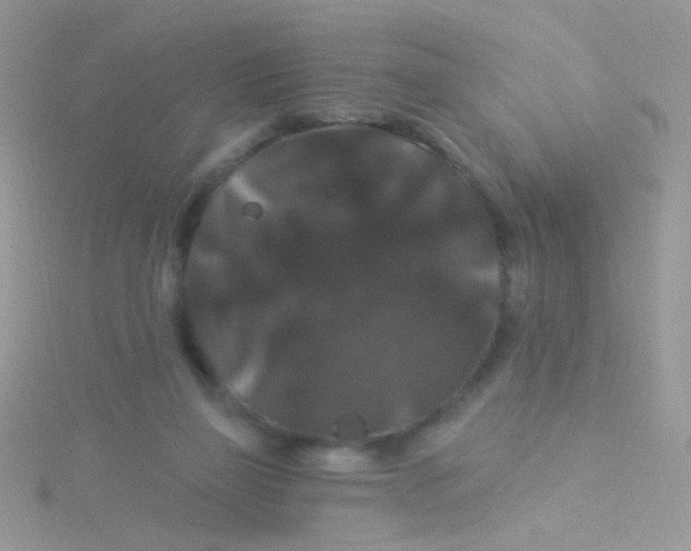 X0000115320165200911231358