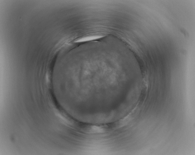 X0000115320166200911231358