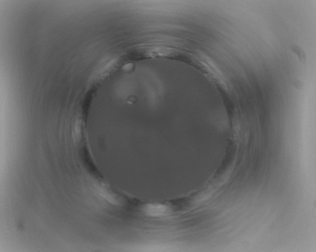 X0000115320169200911231358