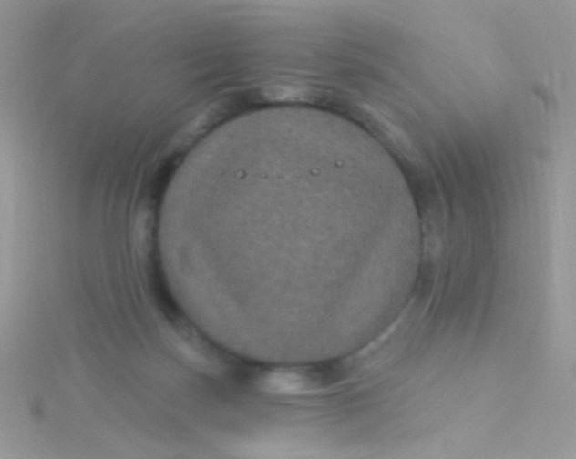 X0000115320171200911231358