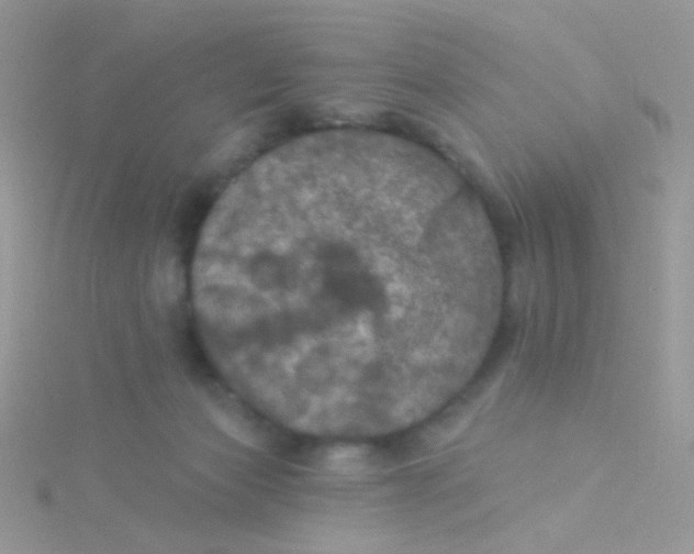 X0000115320173200911231358