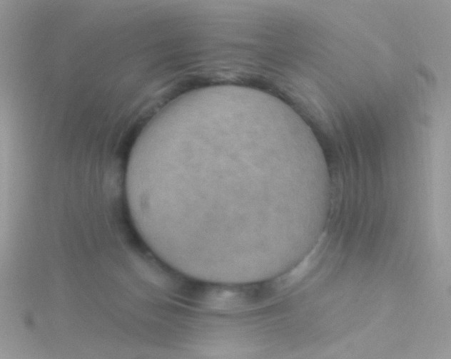 X0000115320174200911231358