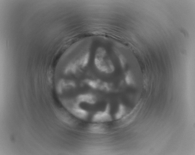 X0000115320175200911231358