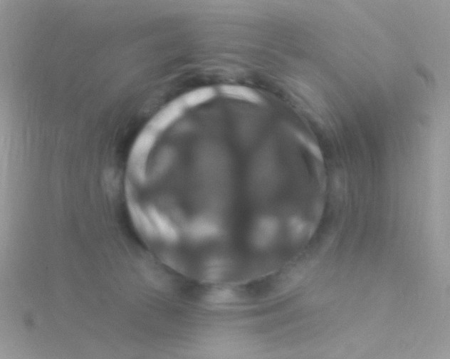 X0000115320177200911231358