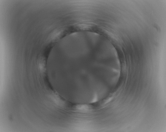 X0000115320181200911231358