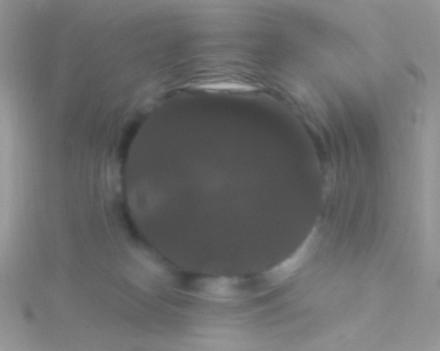 X0000115320182200911231358