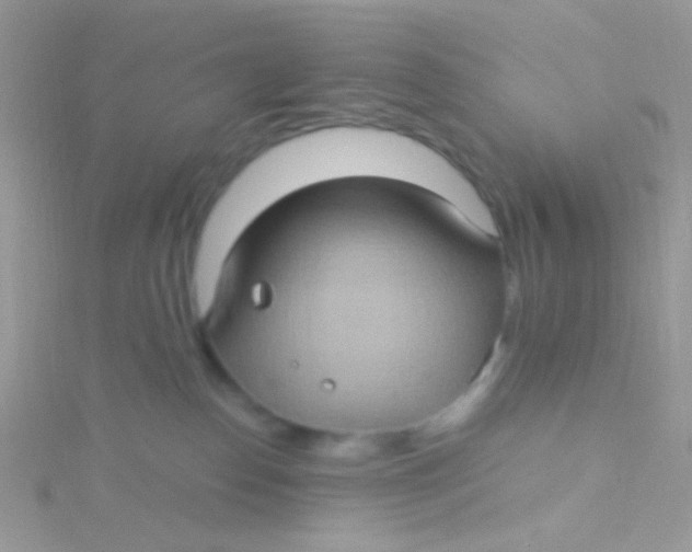 X0000115320186200911231358