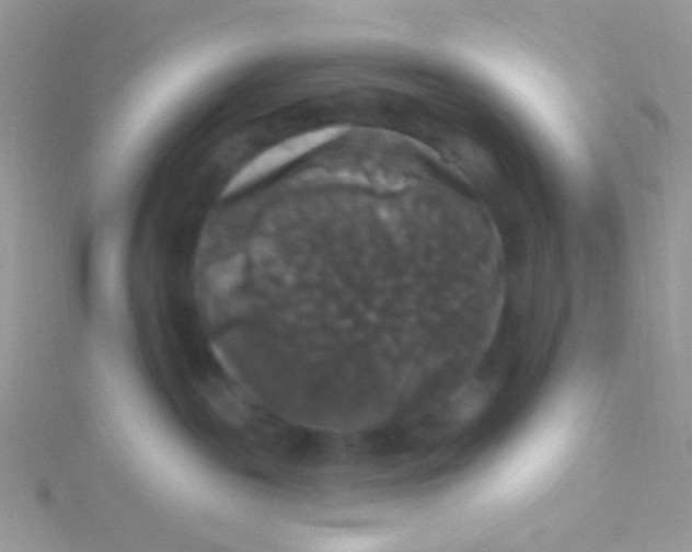 X0000115320189200911231358