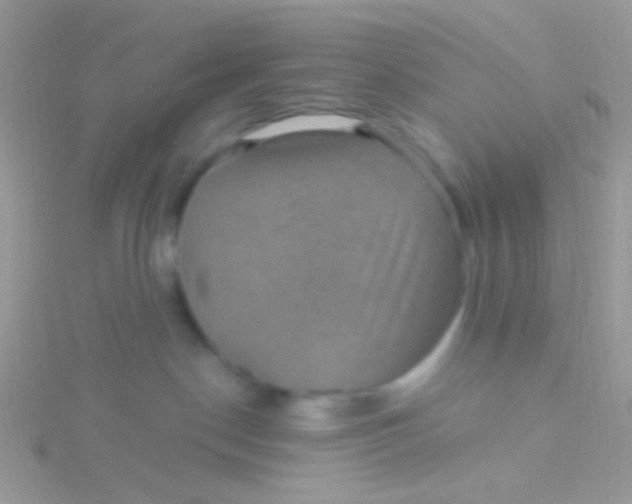 X0000115320190200911231358