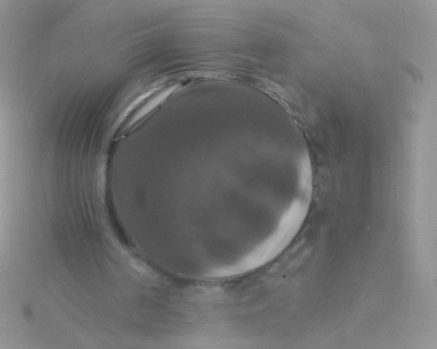 X0000115320194200911231358