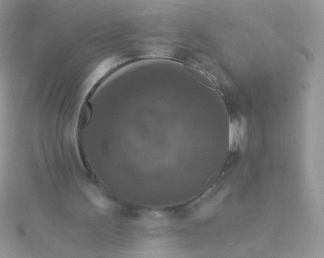 X0000115320195200911231358