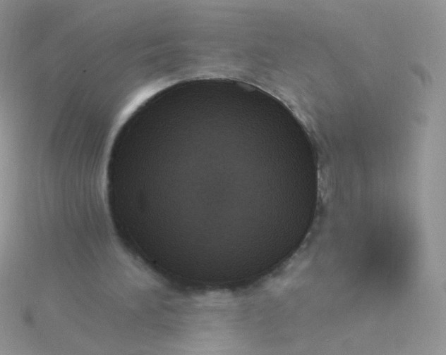 X0000115320196200911231358