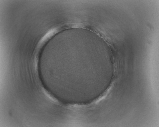 X0000115320197200911231358