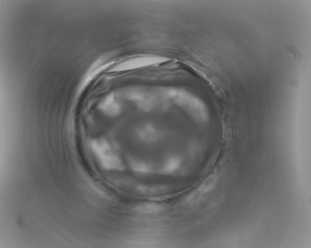 X0000115320198200911231358