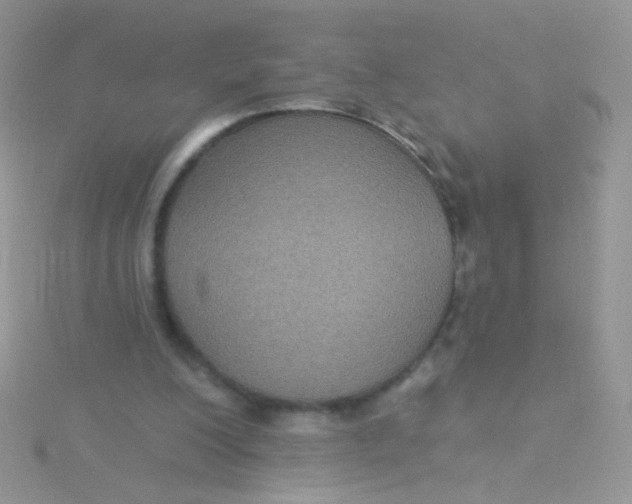 X0000115320200200911231358