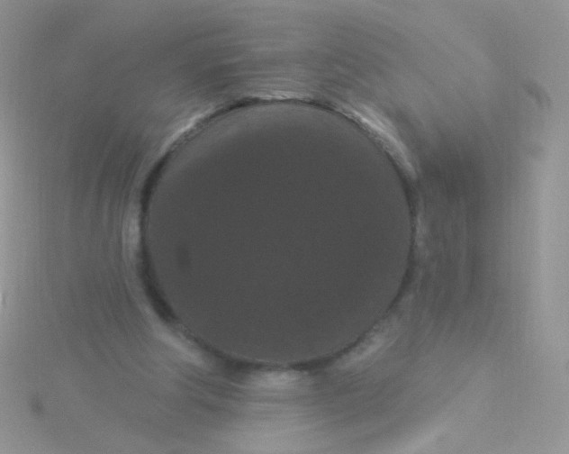 X0000115320202200911231358