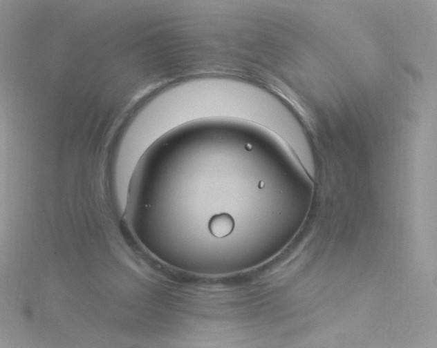 X0000115320203200911231358