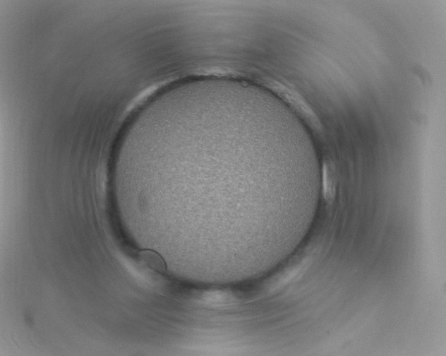 X0000115320204200911231358