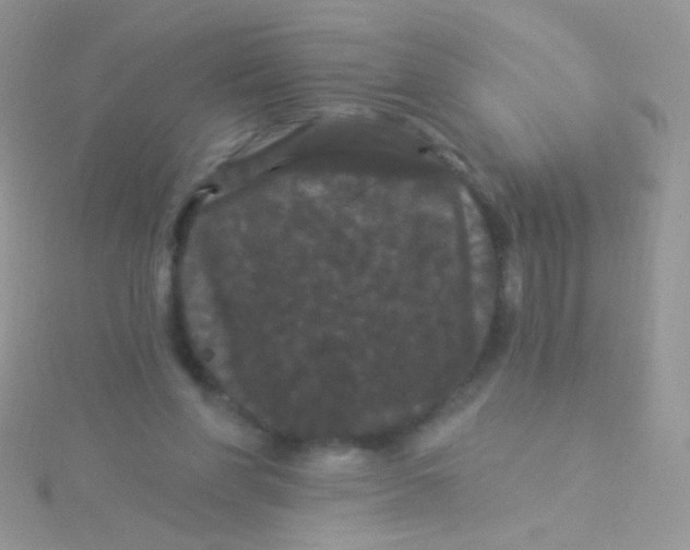 X0000115320206200911231358