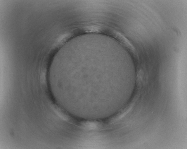 X0000115320209200911231357