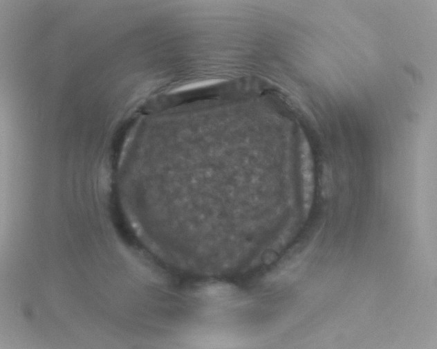 X0000115320210200911231357